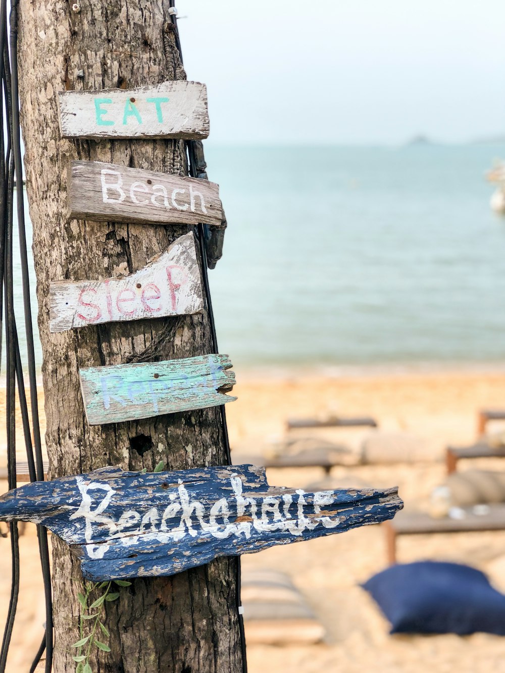 ein hölzernes Schild an einem Baum an einem Strand