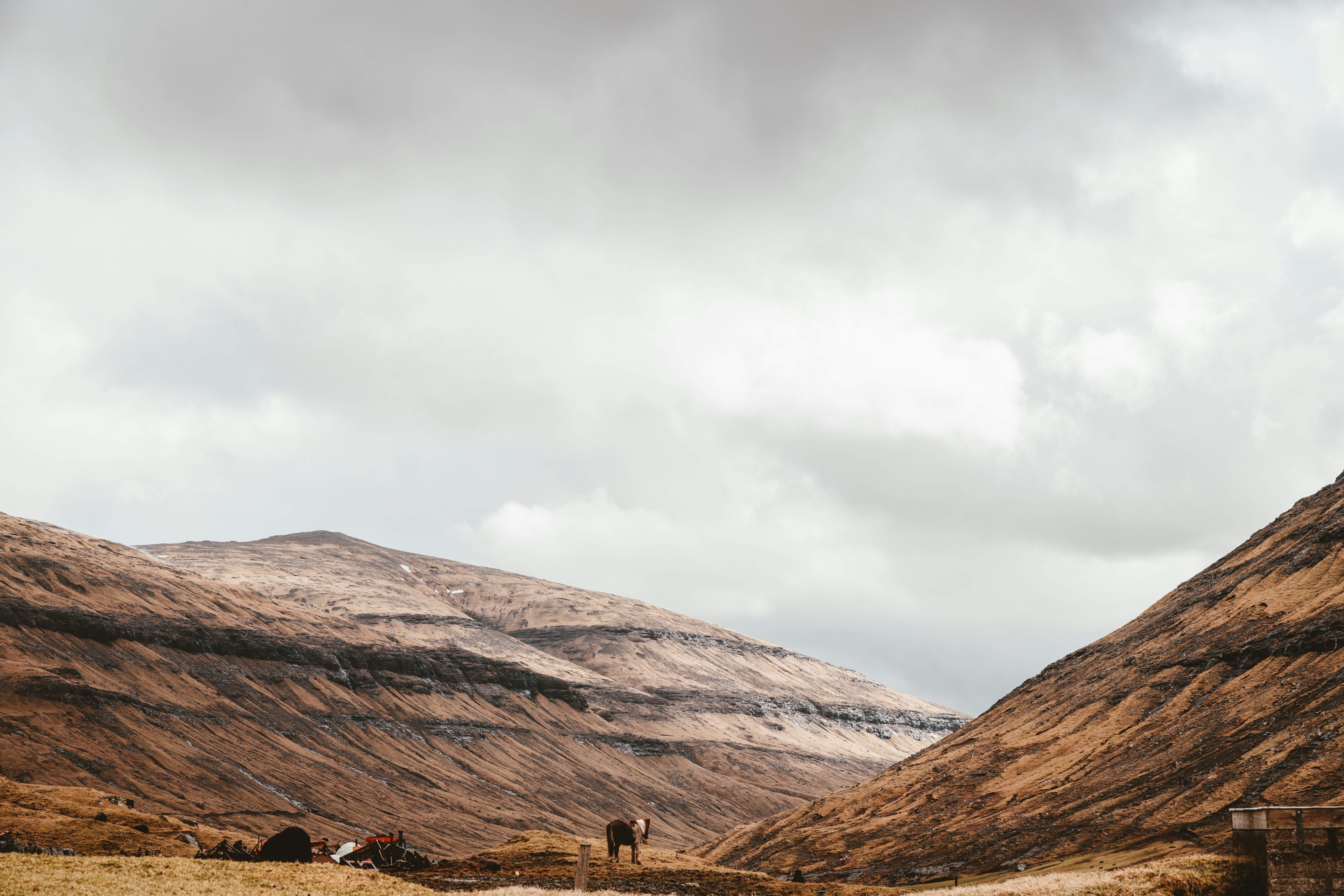 Photo by anniespratt