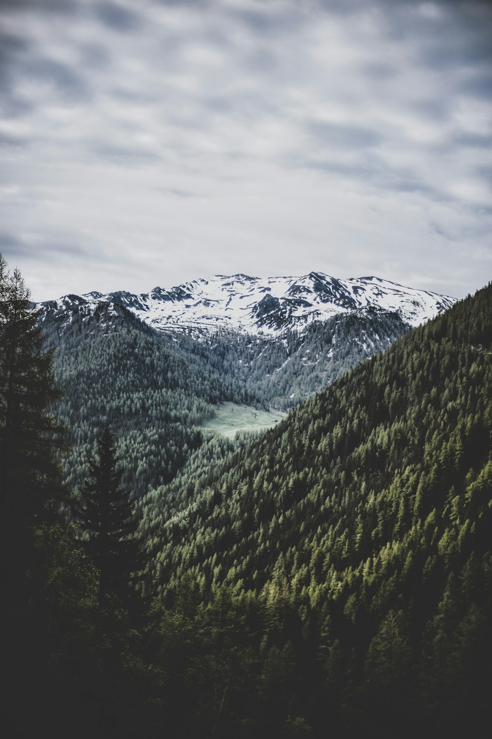 bird's eye view photography of mountain