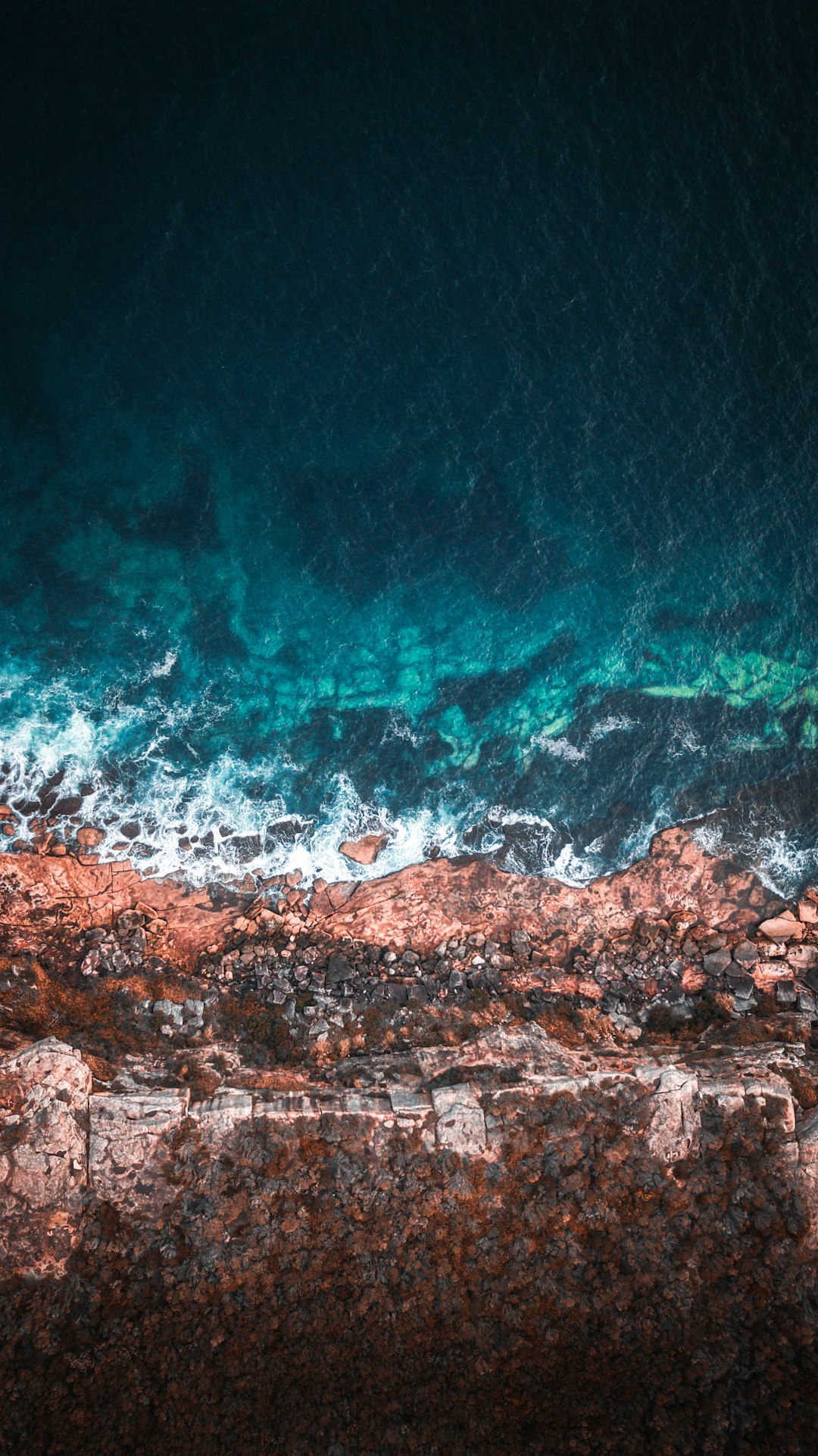 Ocean photo spot North Head Shelly Beach