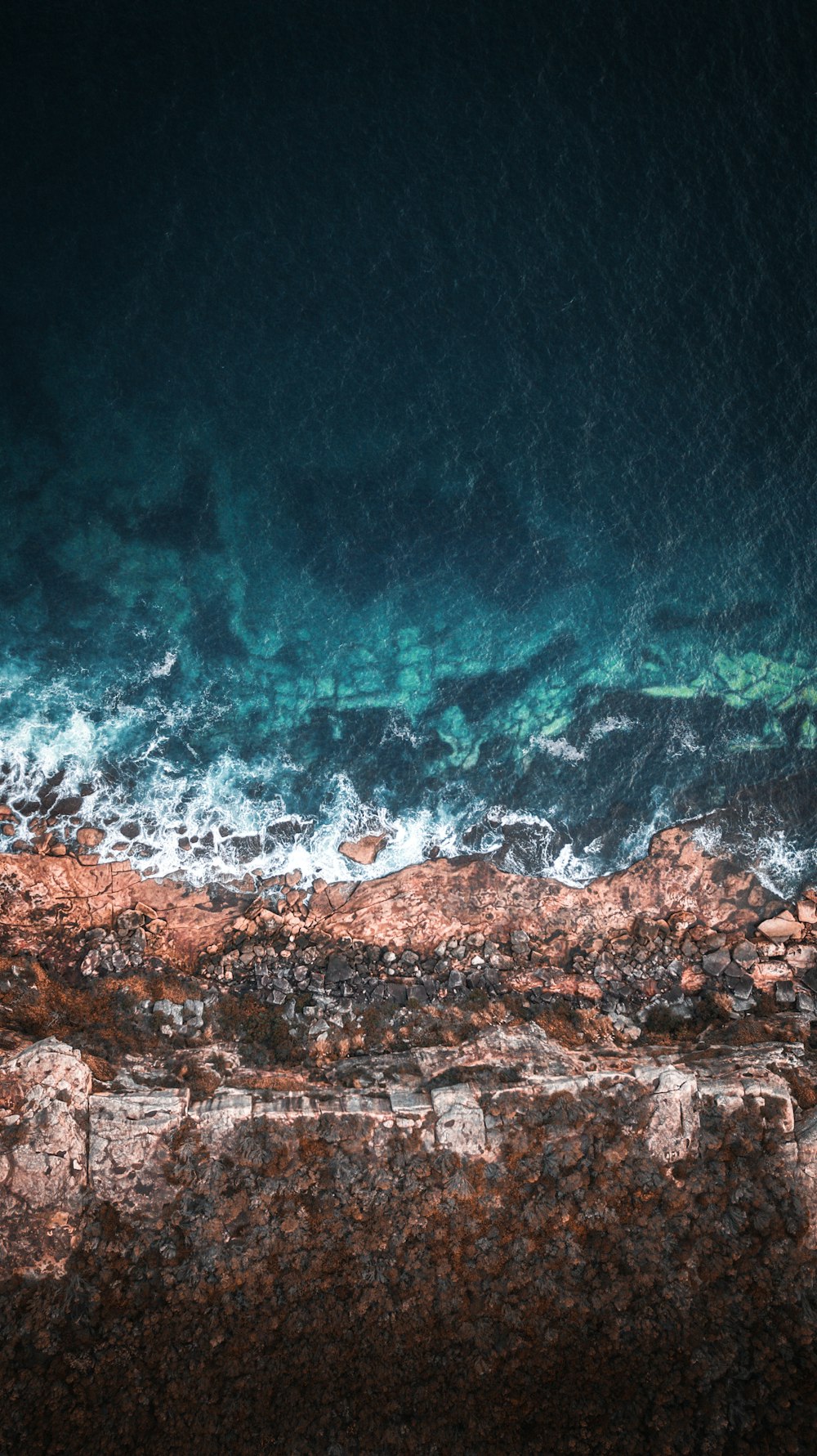 aerial photography of seashore