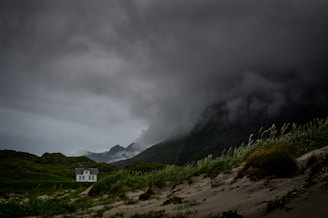 mountain covering with smoke