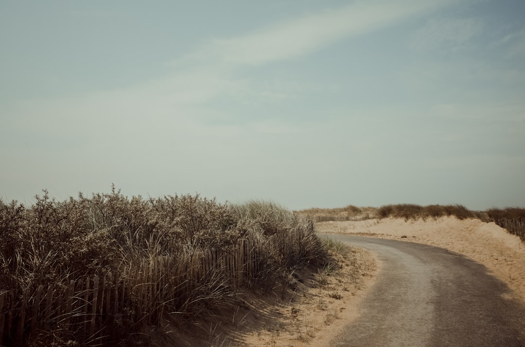 Ecoregion photo spot Groede Strand Scheveningen