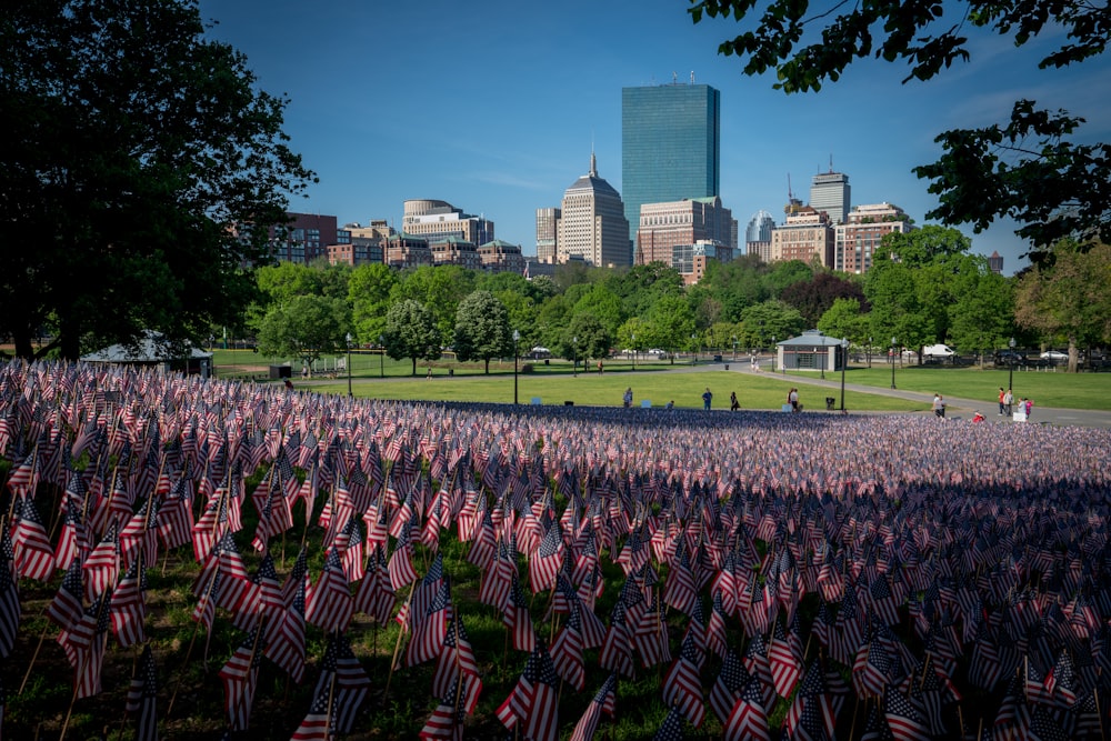 USA flag field near green trees