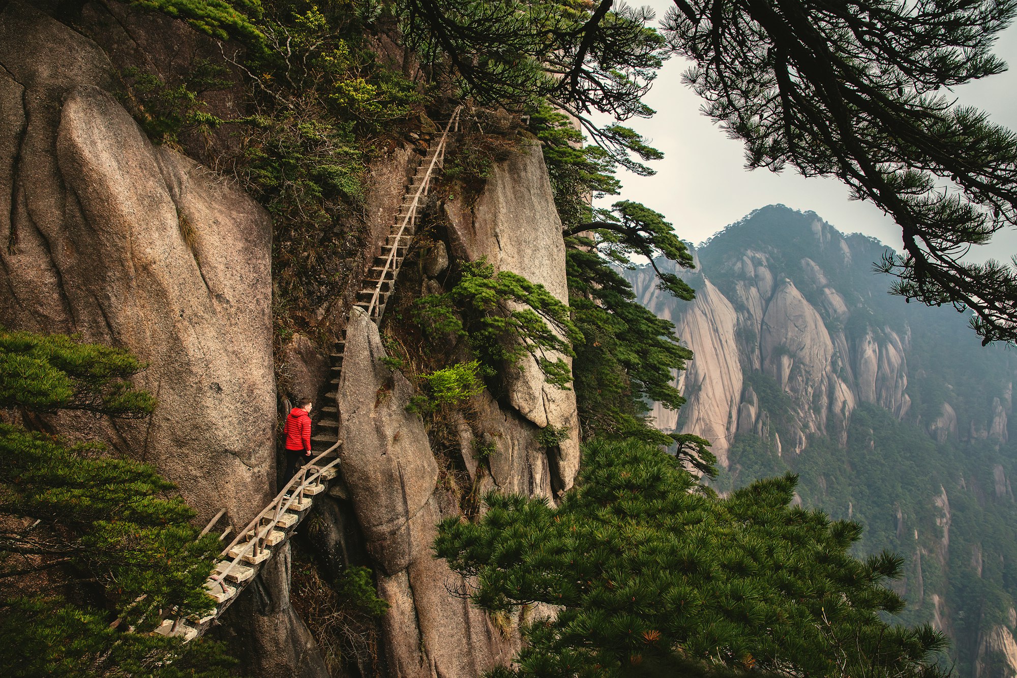 Huangshan, or Yellow Mountain, is named after the famous Yellow Mountains that have become world renowned for their unique scale and beauty. Mount Huangshan itself has been described as ‘the loveliest mountain of China’ and became a magnet for poets and landscape artists, fascinated by its dramatic landscape of granitic peaks, many over 1000 metres high.

Click the link in my bio (or go to www.morethanjust.photos) to find out more about this stunning landscape and my time exploring it!