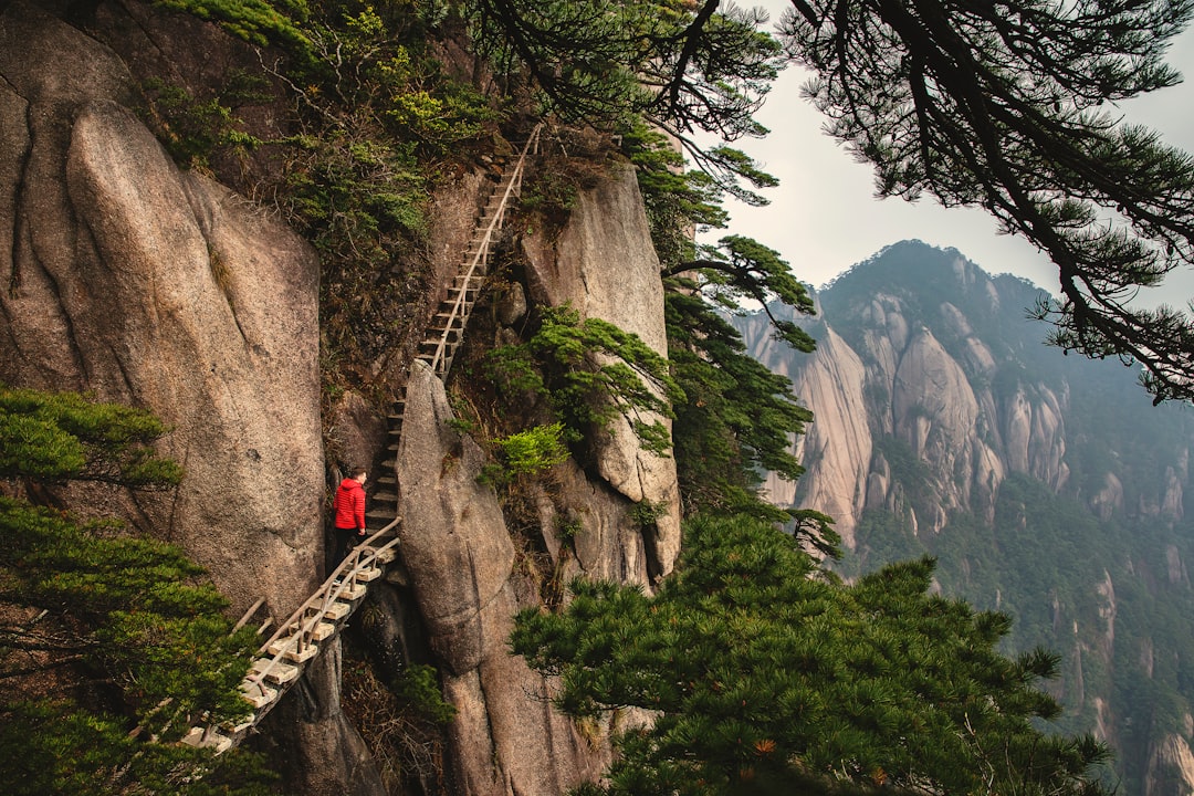 travelers stories about Cliff in Huangshan Mountain, China