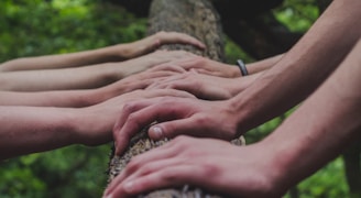 a group of people holding hands on top of a tree