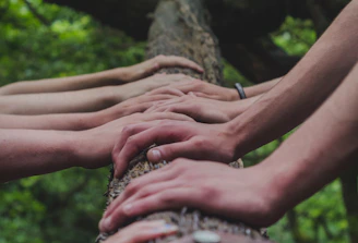 a group of people holding hands on top of a tree