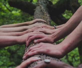 a group of people holding hands on top of a tree