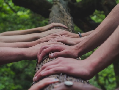 a group of people holding hands on top of a tree