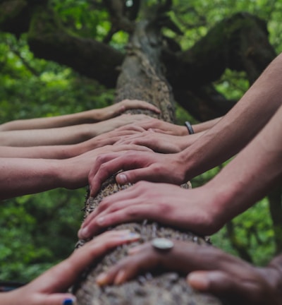 a group of people holding hands on top of a tree