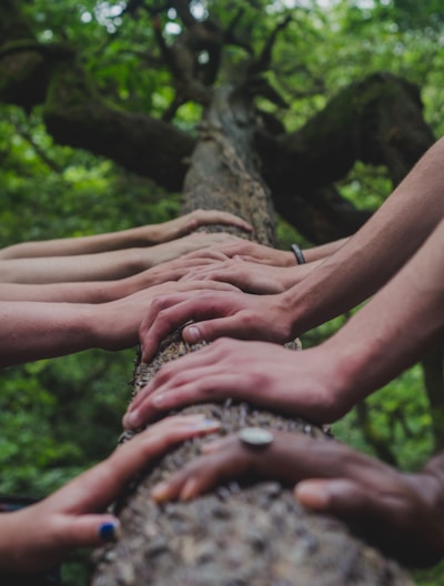 a group of people holding hands on top of a tree