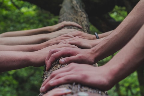 a group of people holding hands on top of a tree