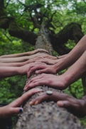 a group of people holding hands on top of a tree