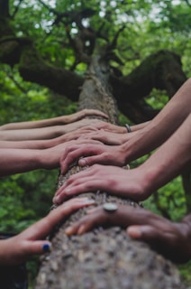 a group of people lovingly with hands on top of a tree