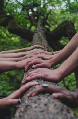 a group of people holding a tree trunk
