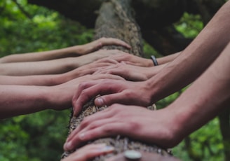 a group of people holding hands on top of a tree