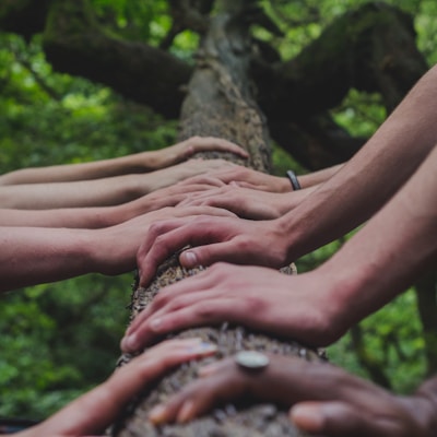 a group of people holding hands on top of a tree