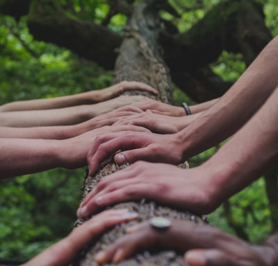a group of people holding hands on top of a tree