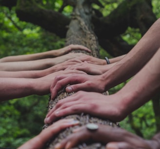 a group of people holding hands on top of a tree