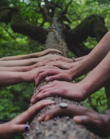 a group of people holding hands on top of a tree