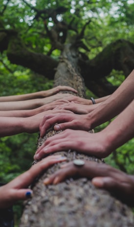 a group of people holding hands on top of a tree