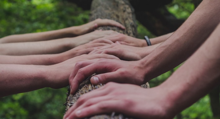 a group of people holding hands on top of a tree