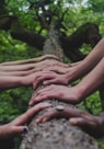 a group of people holding hands on top of a tree