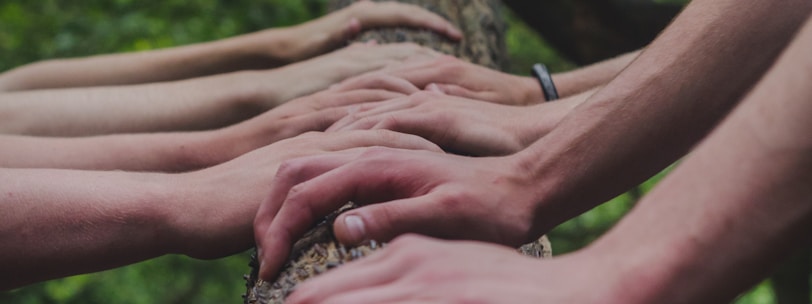 a group of people holding hands on top of a tree