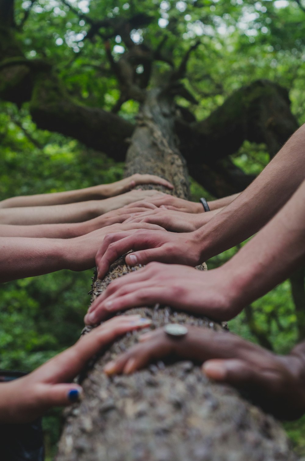 a group of people holding hands on top of a tree