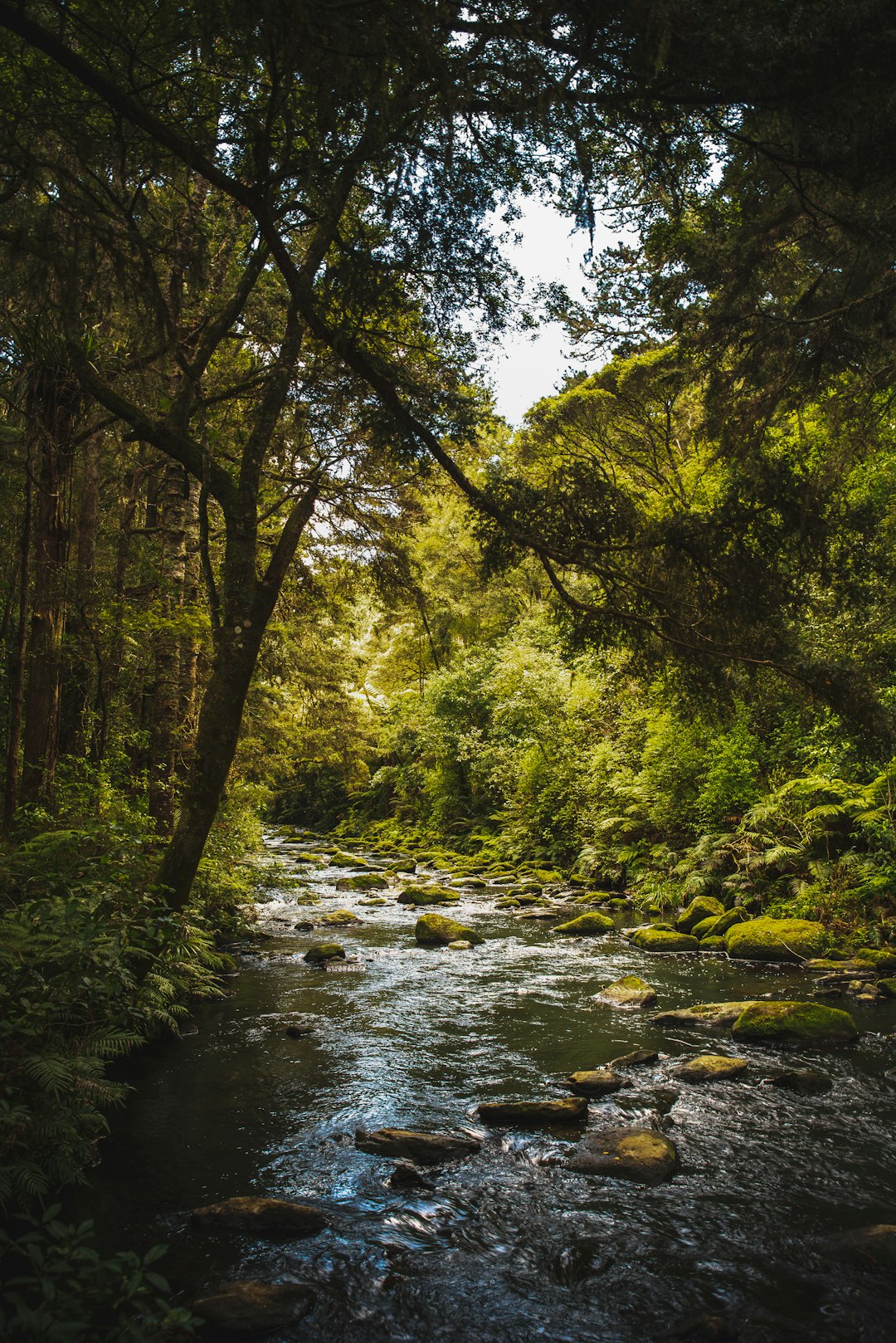 travelers stories about River in Whangarei, New Zealand