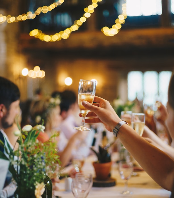 people raising wine glass in selective focus photography