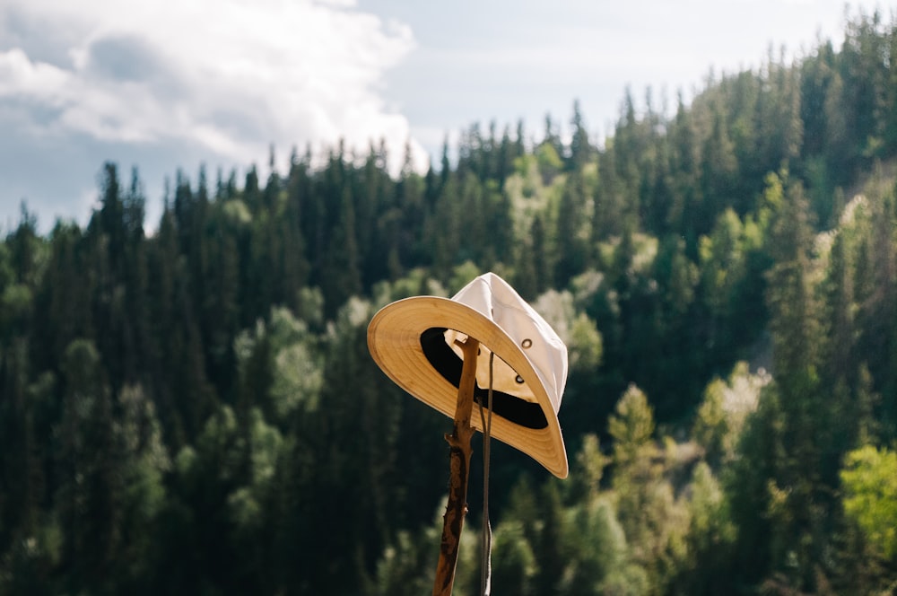 sombrero marrón en la parte superior del palo de madera marrón durante el día