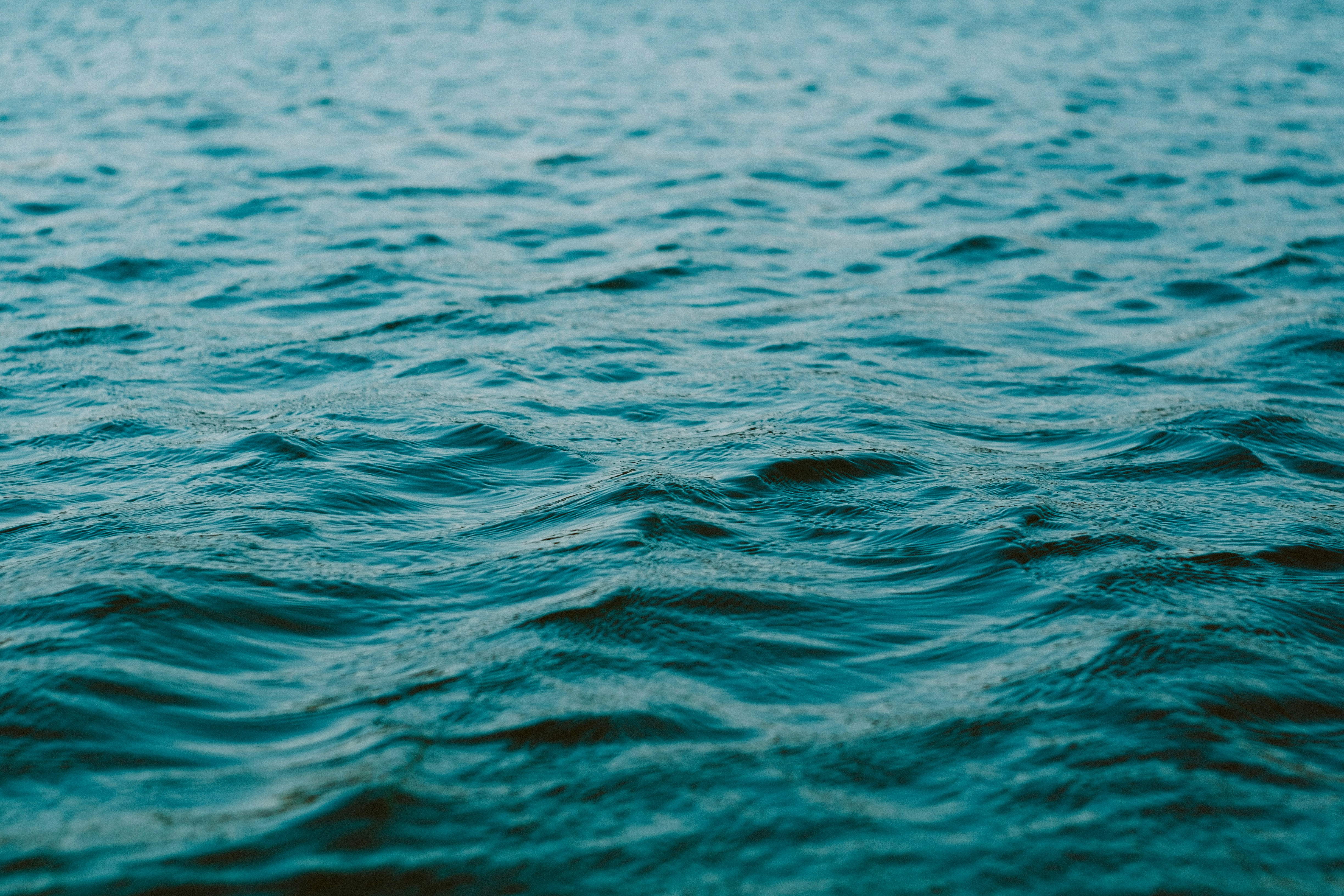 Cover Image for Calendar