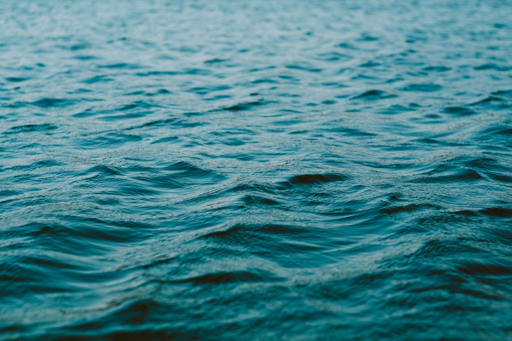 specchio d'acqua increspato durante il giorno