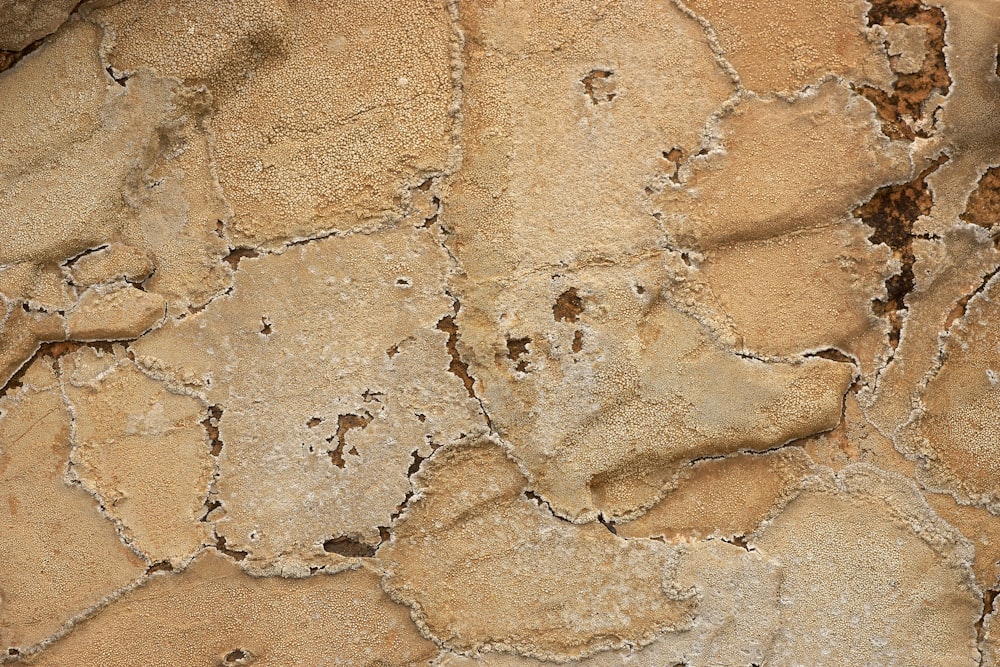 a close up of a rock wall with cracks