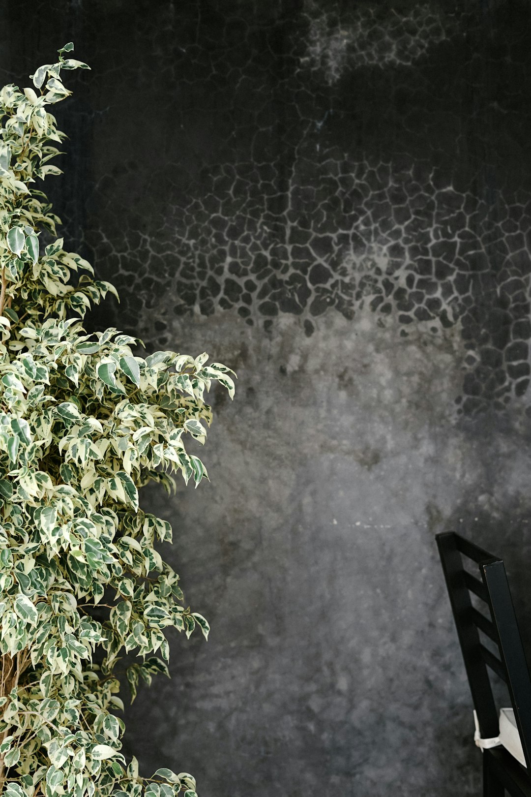 travelers stories about Watercourse in Rodamón Riad Marrakech, Morocco