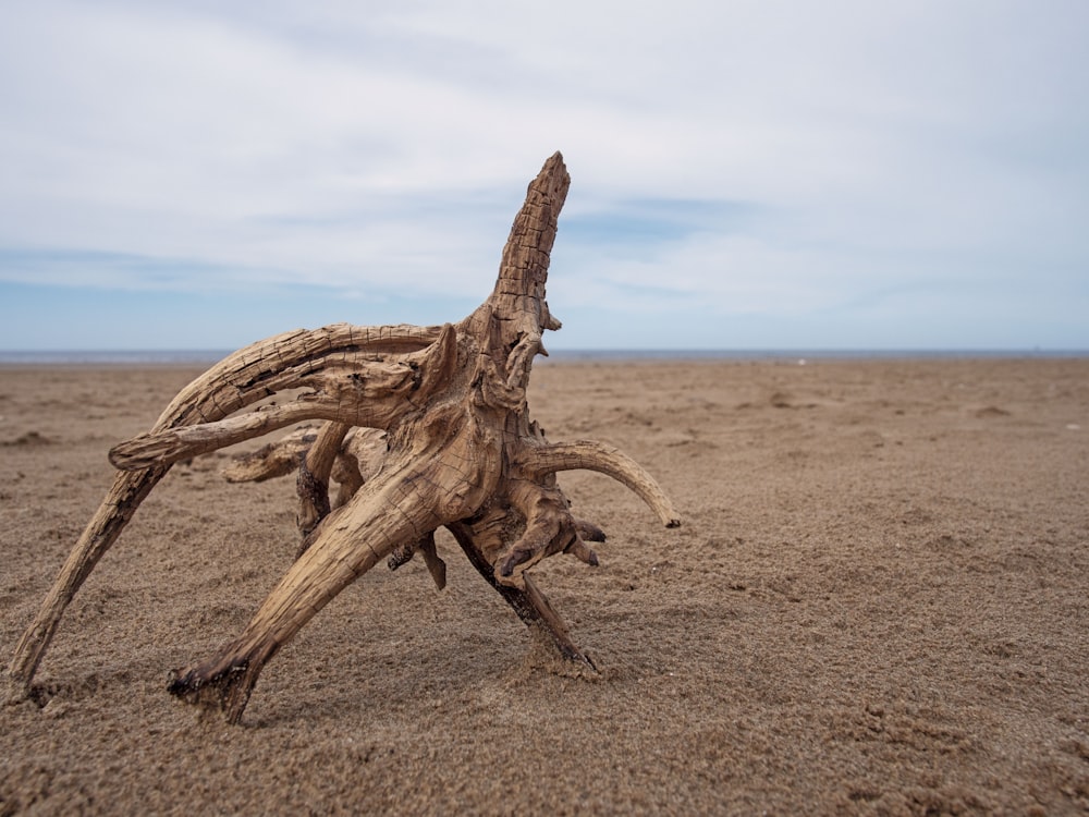 driftwood on sand under white sky during daytime