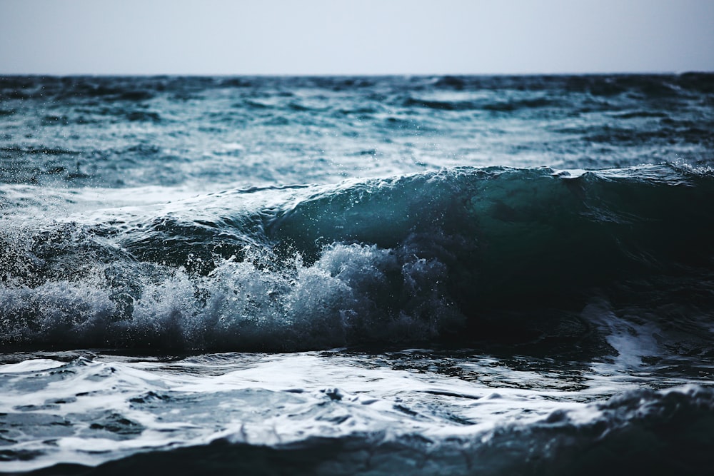 photo of sea wave