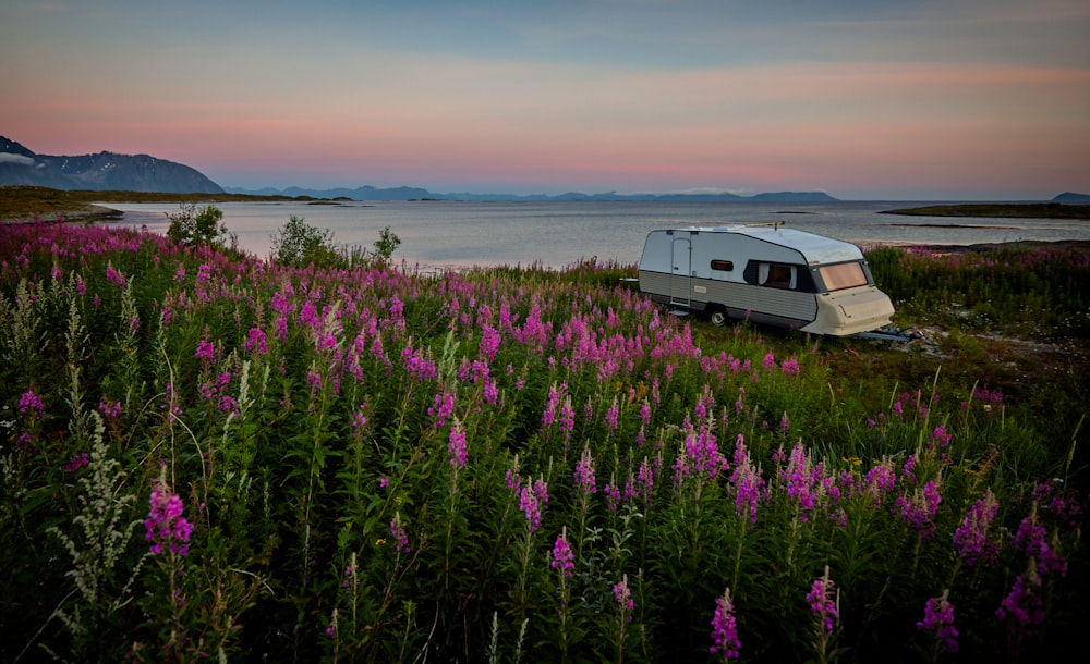 trailer RV branco e marrom perto do corpo de água e flores cor-de-rosa