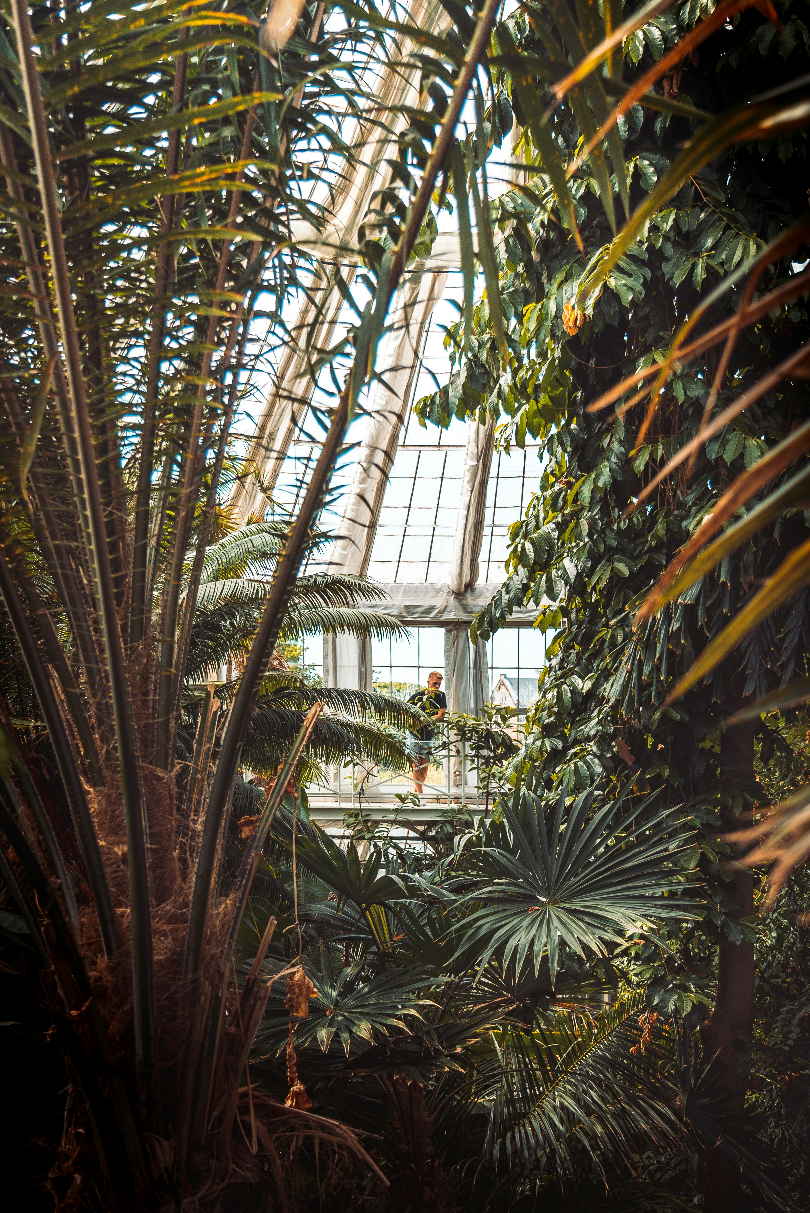 Photo by andreasdress