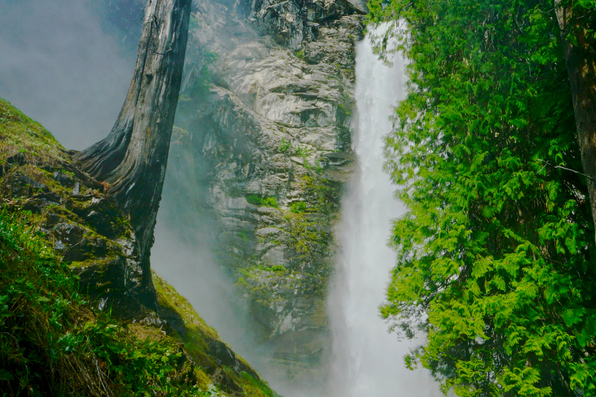 Waterfall pouring through forest into the lake
