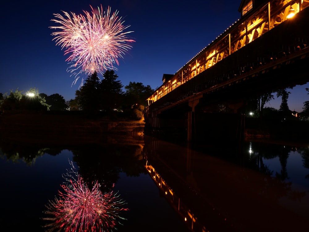 fireworks over trees near lighted bridge