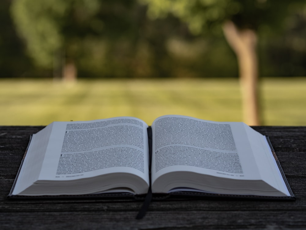 oped book on brown wooden surface at daytime