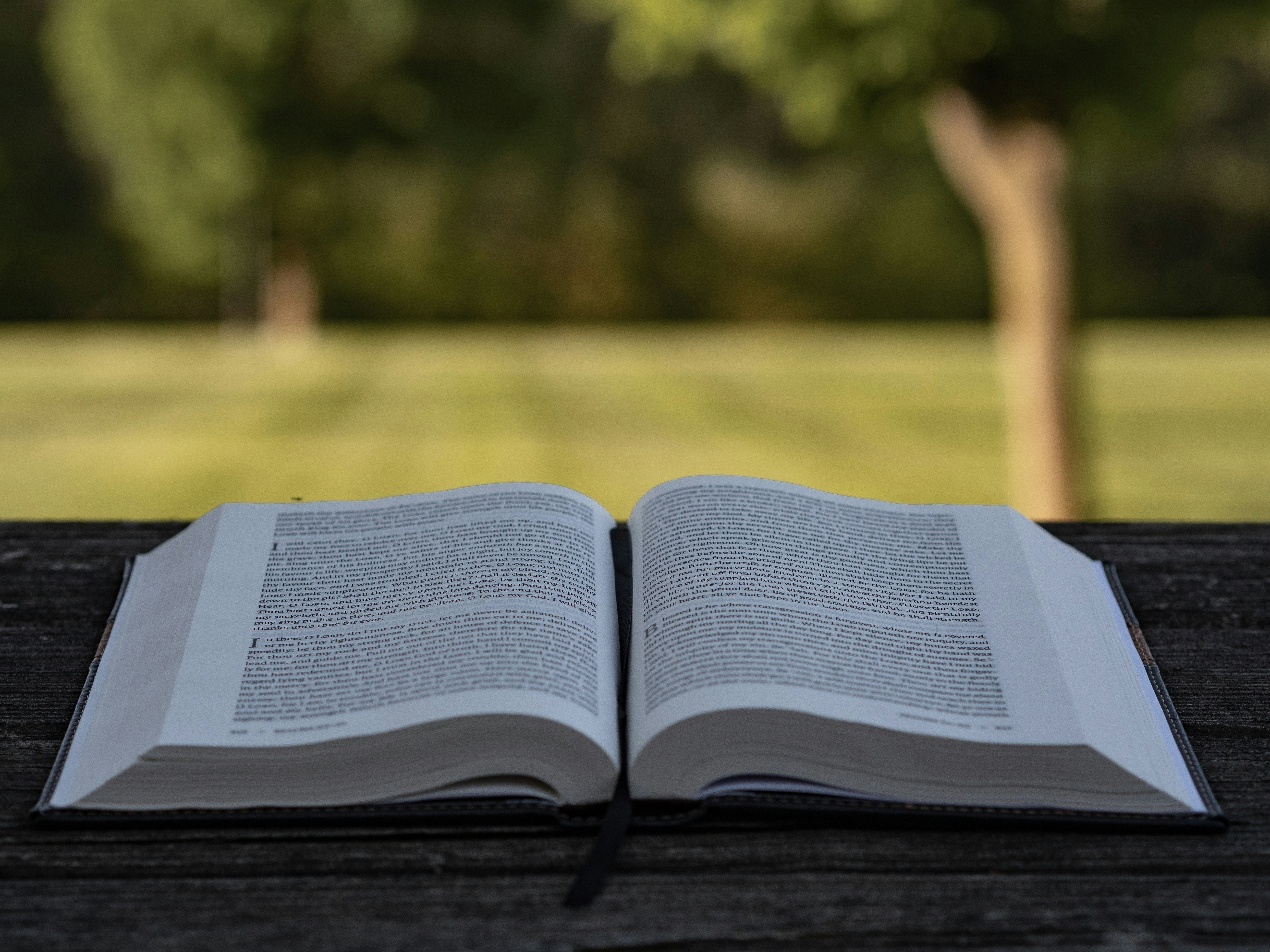 Engaging Chapter Books for All