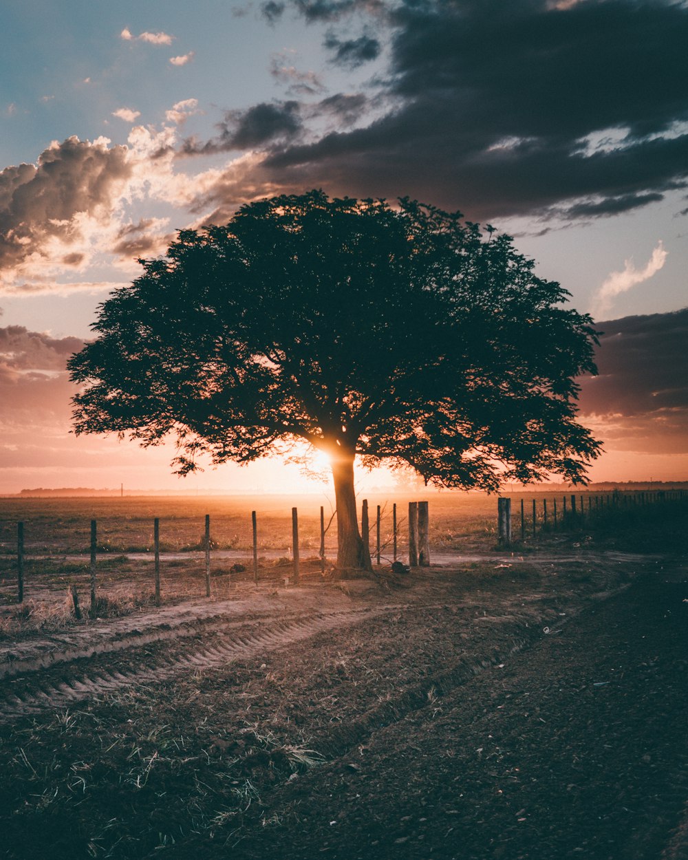 100 Evening Pictures Download Free Images on Unsplash 