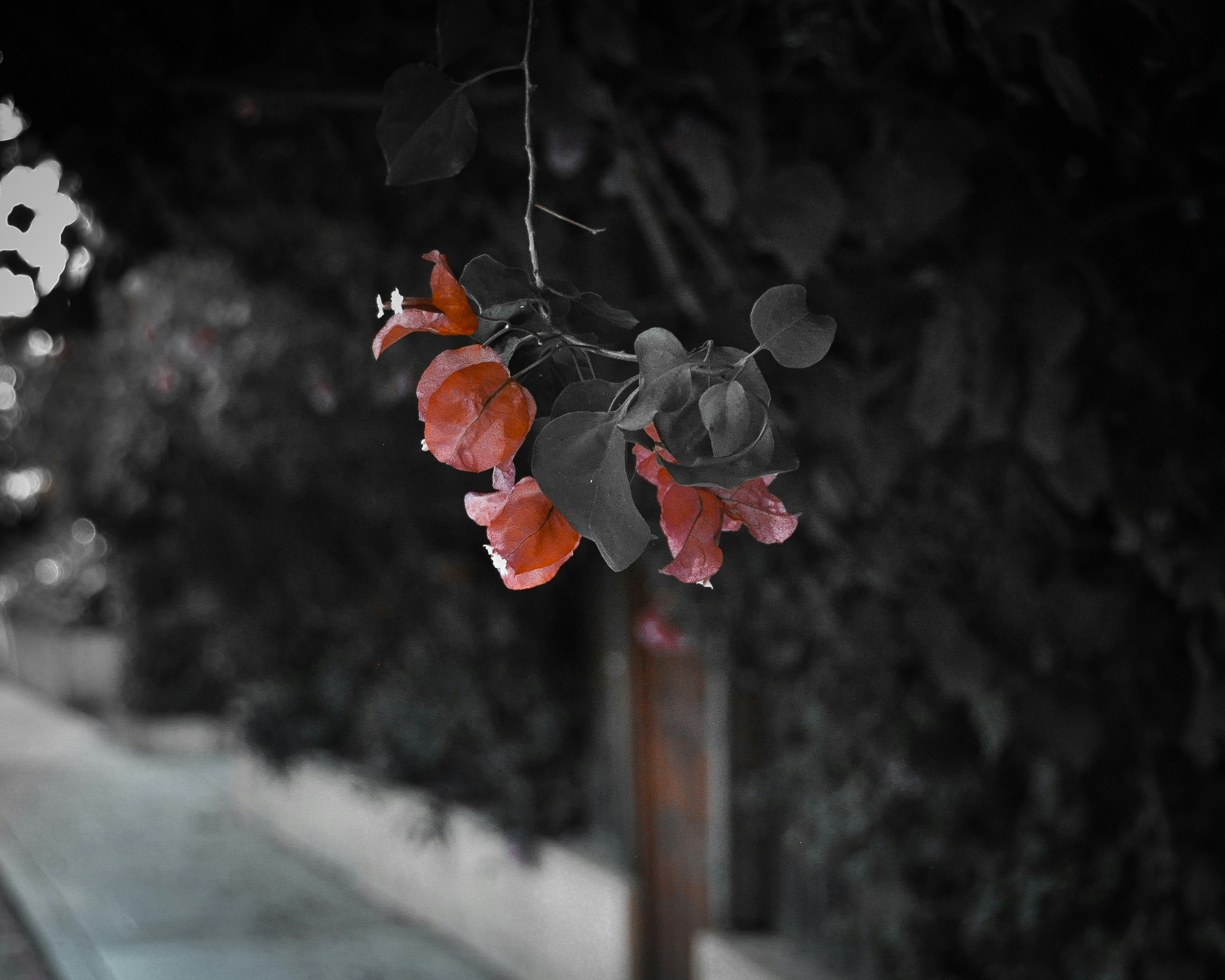 特别爱一个男人的情话