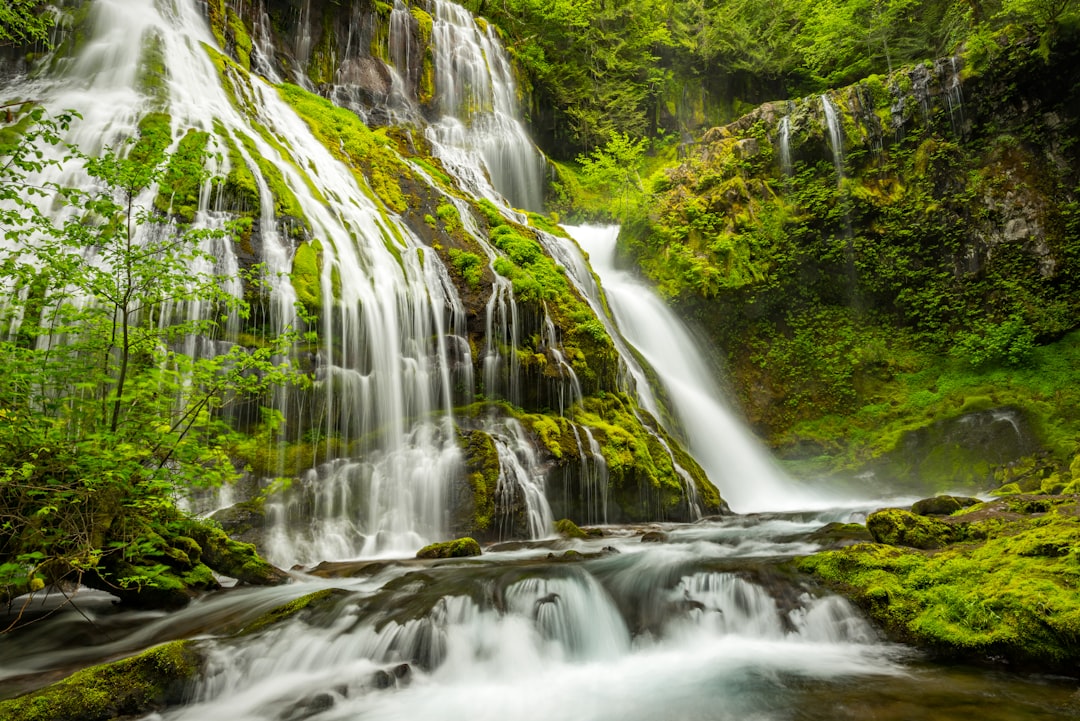 Waterfall photo spot Panther Creek Falls Mount Hood