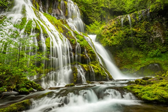 waterfall during daytime in Panther Creek Falls United States