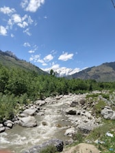A serene landscape of the Himalayas with a clear blue sky and lush greenery.